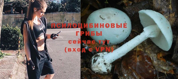 тгк Абдулино
