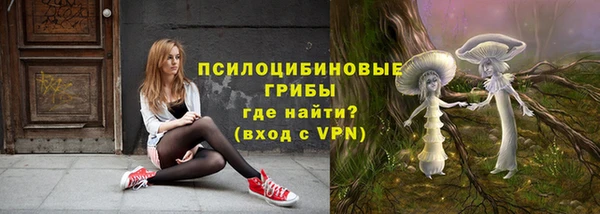 тгк Абдулино