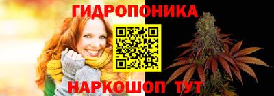 ALPHA PVP Шахты