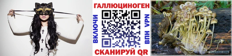 даркнет сайт  Владикавказ  Псилоцибиновые грибы мицелий 