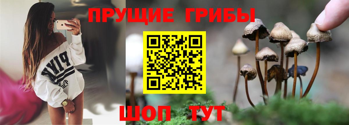 Галлюциногенные грибы мицелий  Вход с VPN  Владикавказ 
